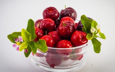 Acerola em pó: inclua a vitamina C natural na sua linha de produtos