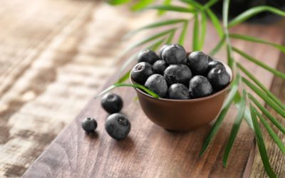 Pó de Açaí Antiox Frootiva® Co: 100% natural e rico em antioxidantes