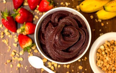 10 curiosidades sobre o açaí: saiba mais sobre o fruto