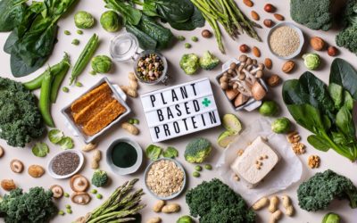 Plant based: o que sua empresa precisa saber?