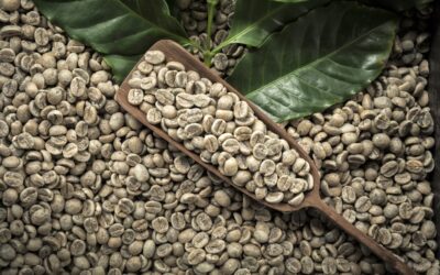 Café verde: um poderoso antioxidante alimentício