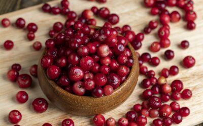 Como usar cranberry em pó na indústria?