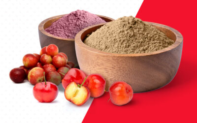 Pó de frutas do Brasil estão ganhando o mercado internacional