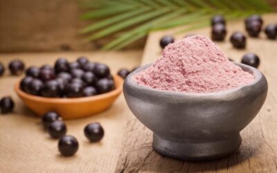 Como usar jabuticaba em pó na indústria de alimentos, bebidas e suplementos